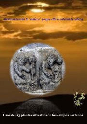 usos-de-113-plantas-silvestres-de-los-campos-nortenos-libro