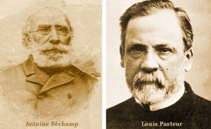 Pasteur- Béchamp