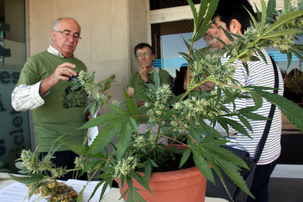 Josep Pàmies, de l'associació Dolça Revolució, acompanyat d'altres activistes, explicant a una senyora els beneficis terapèutics de la marihuana, a les portes de l'Hospital Arnau de Vilanova, el 30 d'octubre de 2015. (Horitzontal)